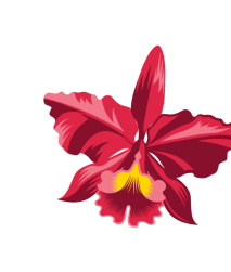 Imagen ilustrativa de flow