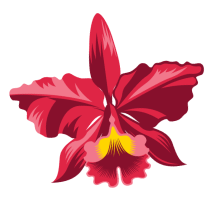 Flowers image
