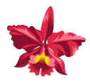 Flowers image