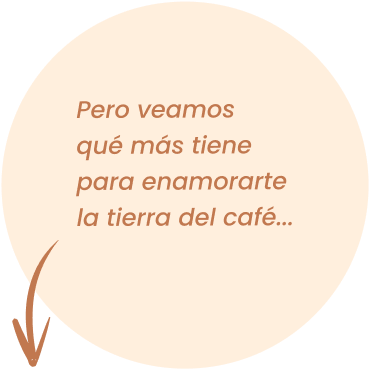 Imagen de mensaje versión mobile